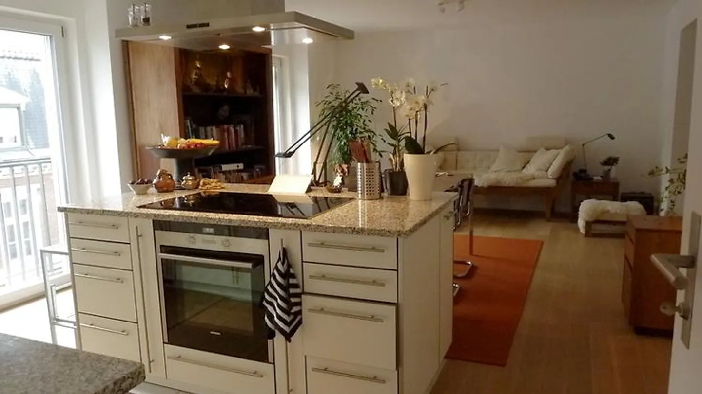 2 ROOM APARTMENT IN BASEL - OLD TOWN/GROSSBASEL, FURNISHED, TEMPORARY - Photo 5 of 11