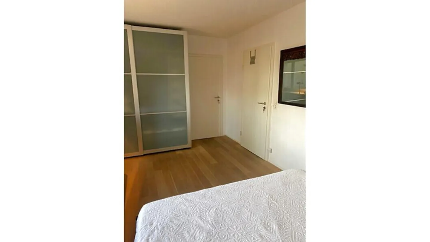 2 ROOM APARTMENT IN BASEL - OLD TOWN/GROSSBASEL, FURNISHED, TEMPORARY - Photo 8 of 11