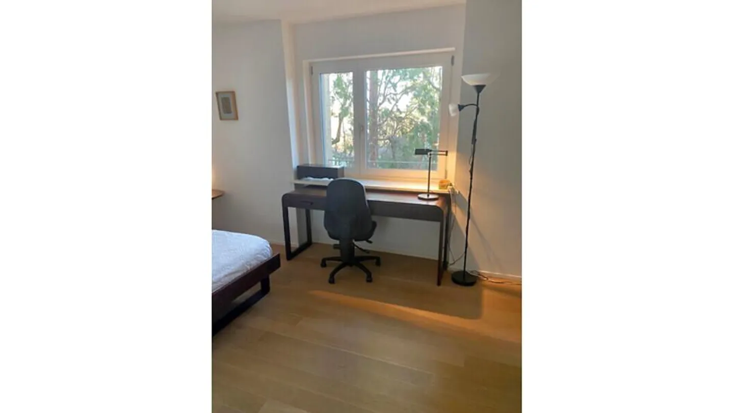 2 ROOM APARTMENT IN BASEL - OLD TOWN/GROSSBASEL, FURNISHED, TEMPORARY - Photo 9 of 11