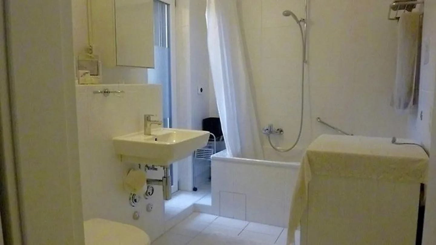 2 ROOM APARTMENT IN BASEL - OLD TOWN/GROSSBASEL, FURNISHED, TEMPORARY - Photo 10 of 11