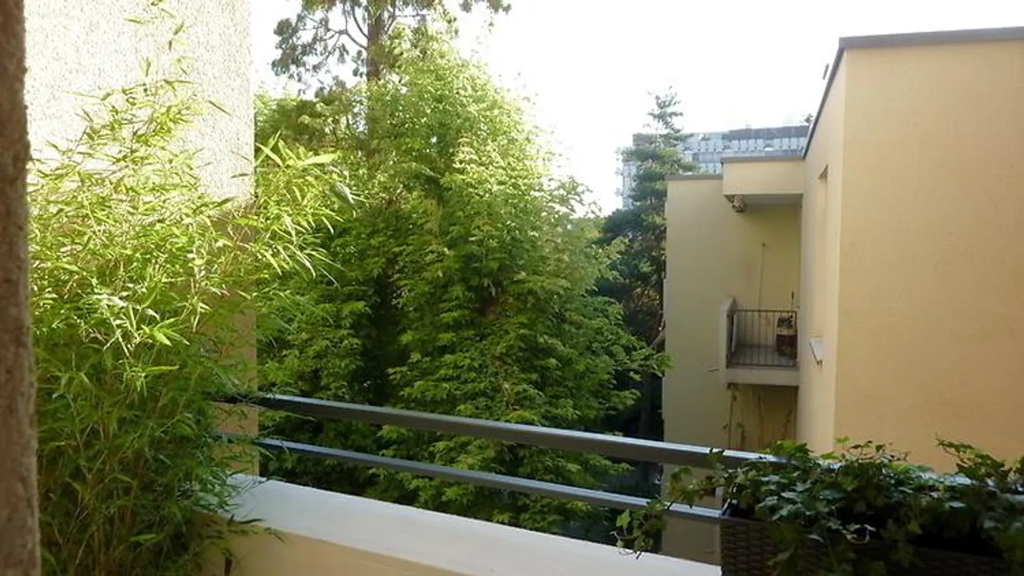 2 ROOM APARTMENT IN BASEL - OLD TOWN/GROSSBASEL, FURNISHED, TEMPORARY - Photo 11 of 11