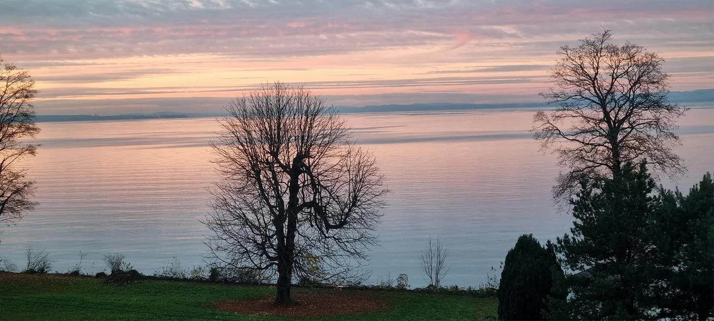 Grosse 4 1/2 Zi Wohnung mit fantastis7cher Seesicht - Foto 2 von 30