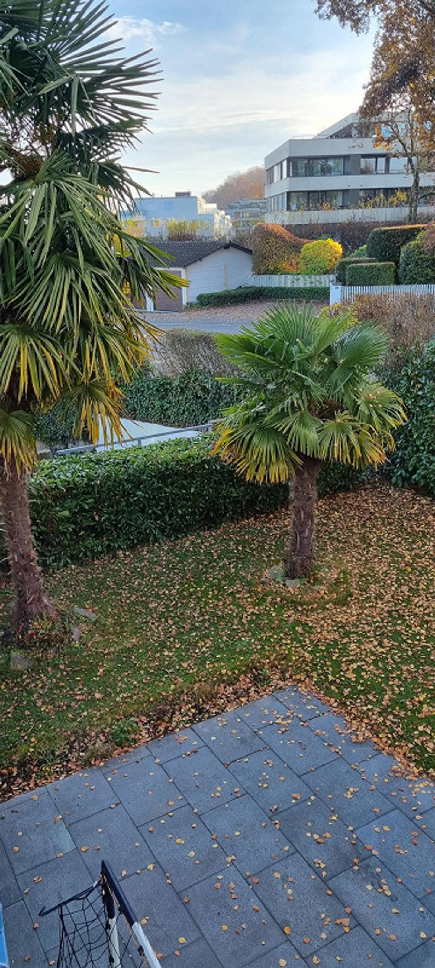 Grosse 4 1/2 Zi Wohnung mit fantastis7cher Seesicht - Foto 15 von 30