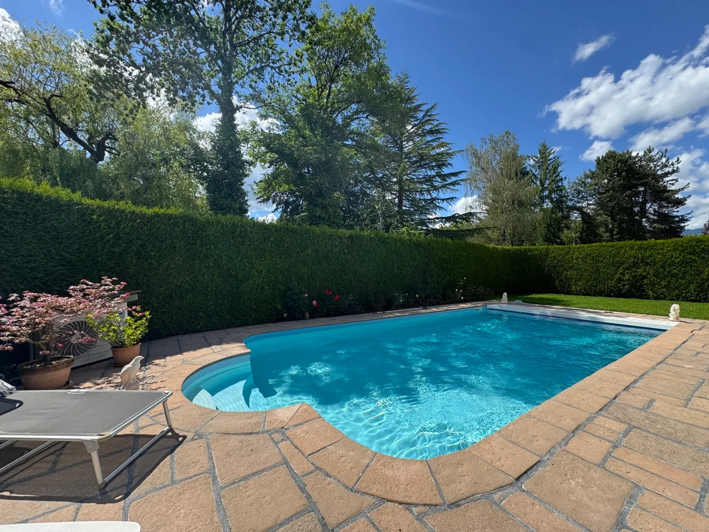 Incantevole casa familiare con giardino e piscina in una ricercata zona residenziale di Founex - Foto 3 di 4
