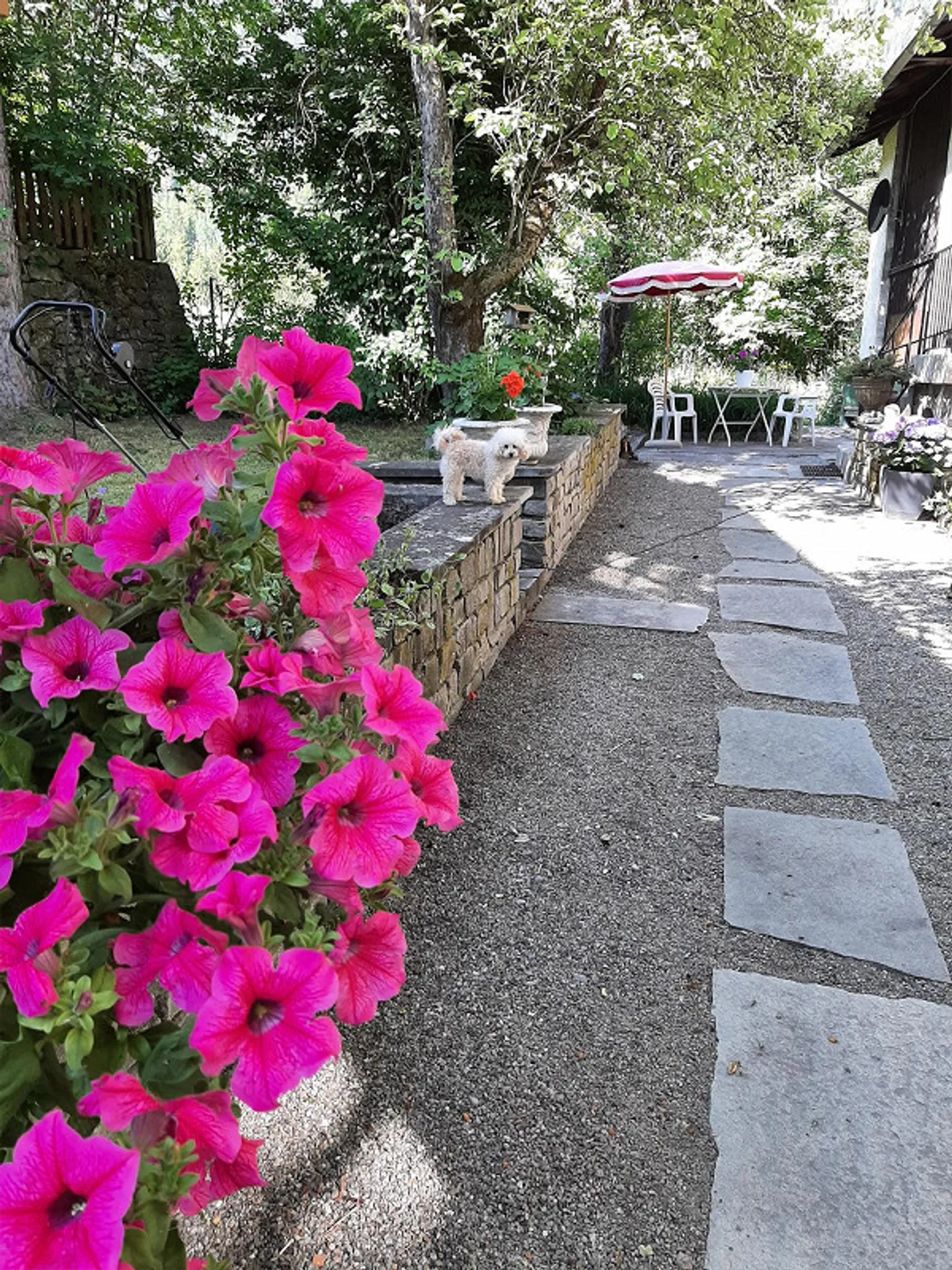 Cozy Apartment / Garden - Photo 8 of 9
