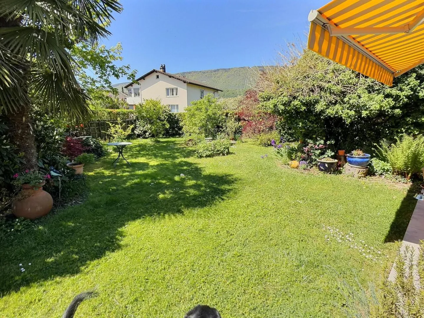Casa di architetto in usufrutto occupato senza affitto - Foto 1 di 14