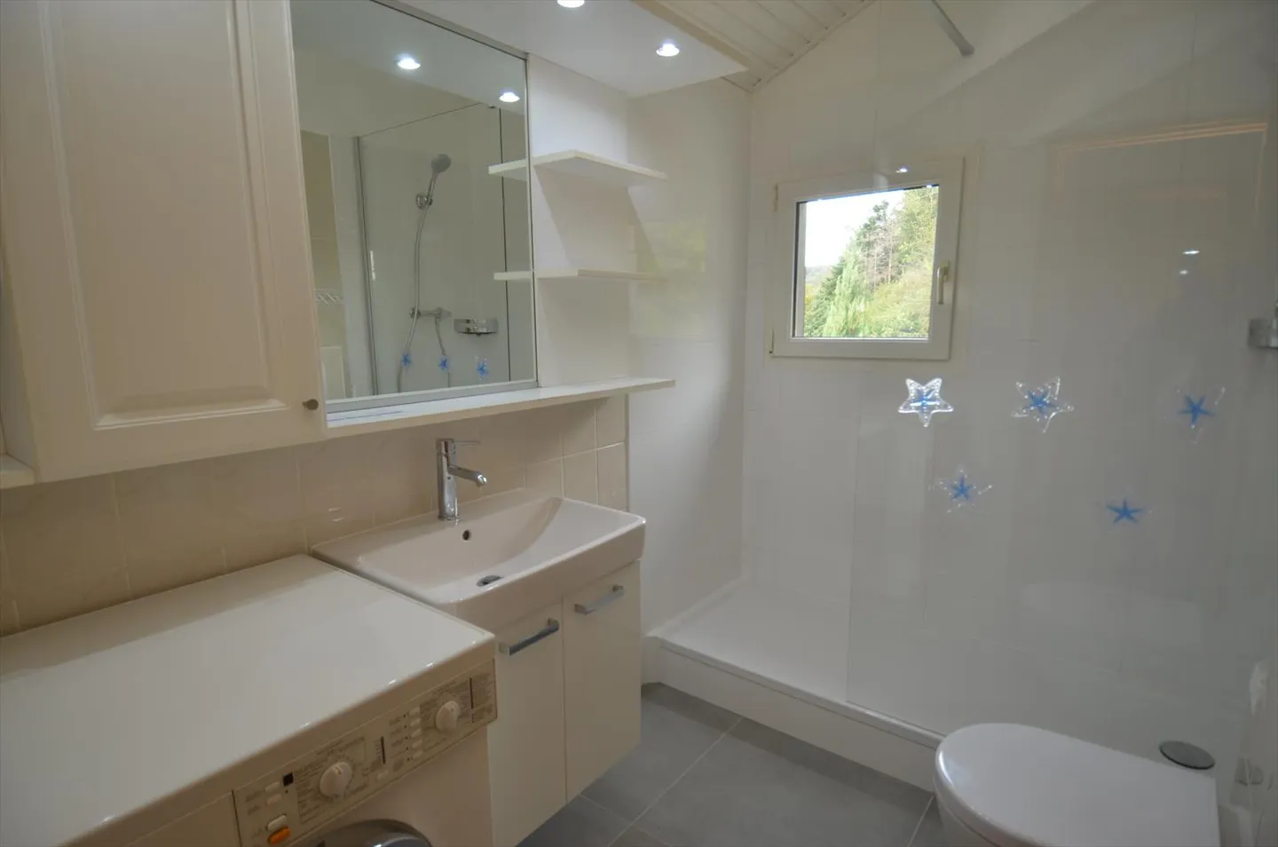 Attic 2 rooms - Photo 7 of 14