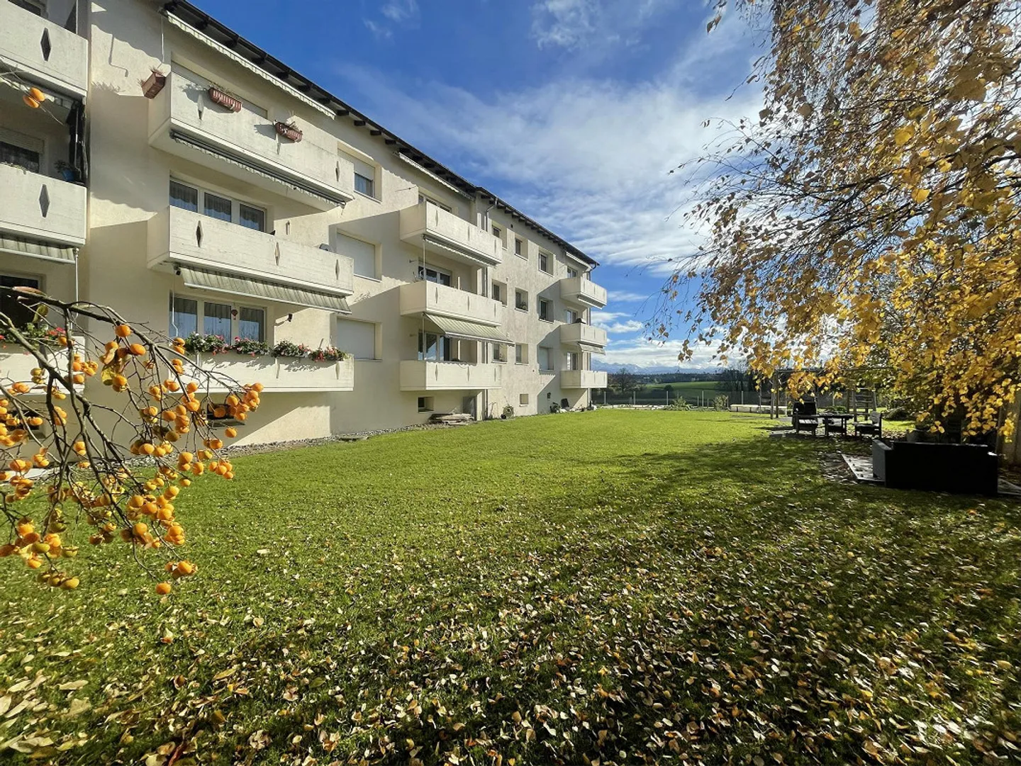 Quiet 3.5 room apartment for rent - Photo 1 of 11