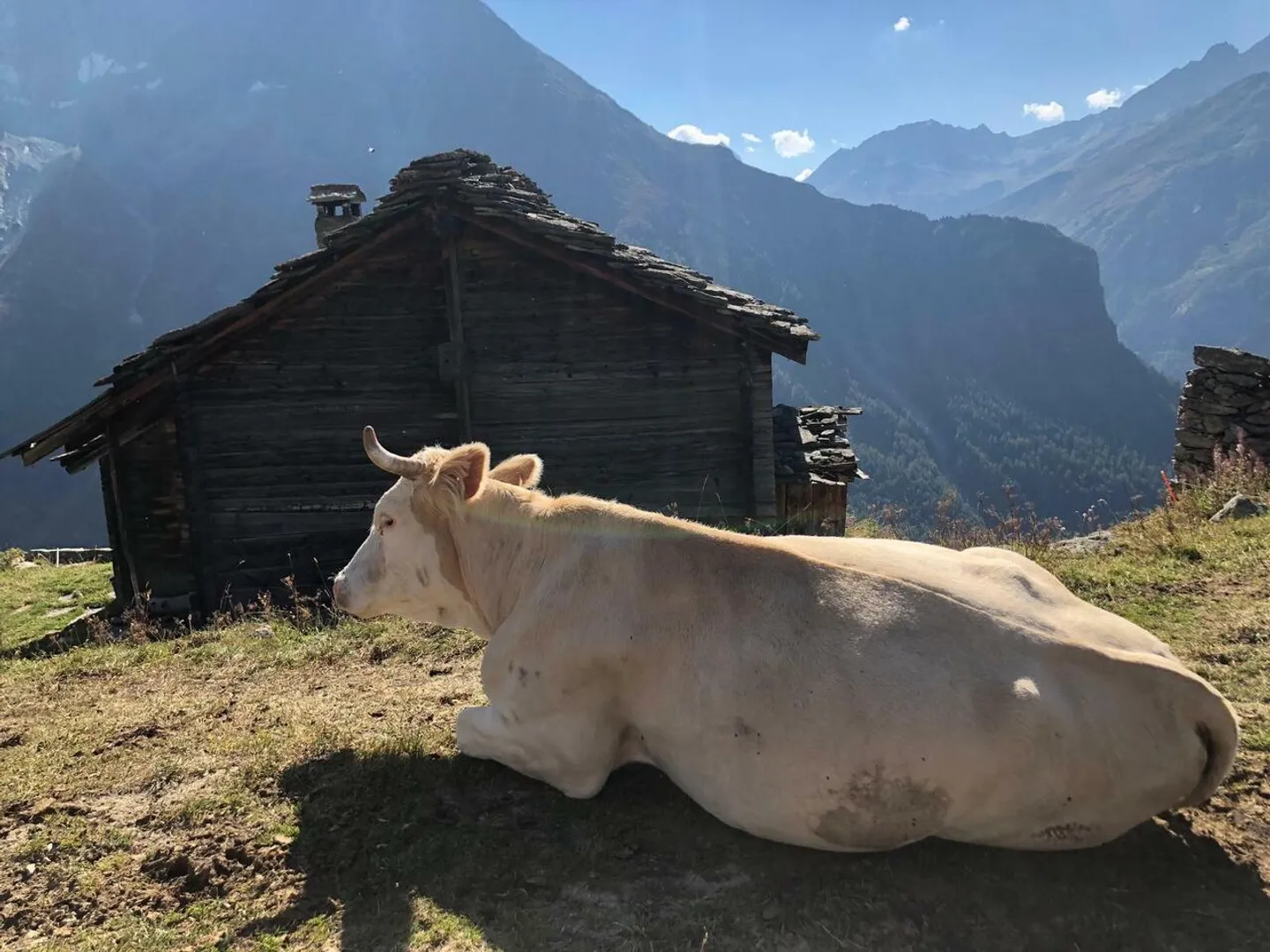 EVOLENE - Bréonna  
Magnifique mayen d'alpage - Photo 2 sur 10