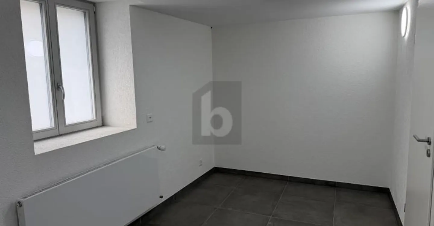 Espace Commercial Polyvalent à Sion - Photo 3 sur 5