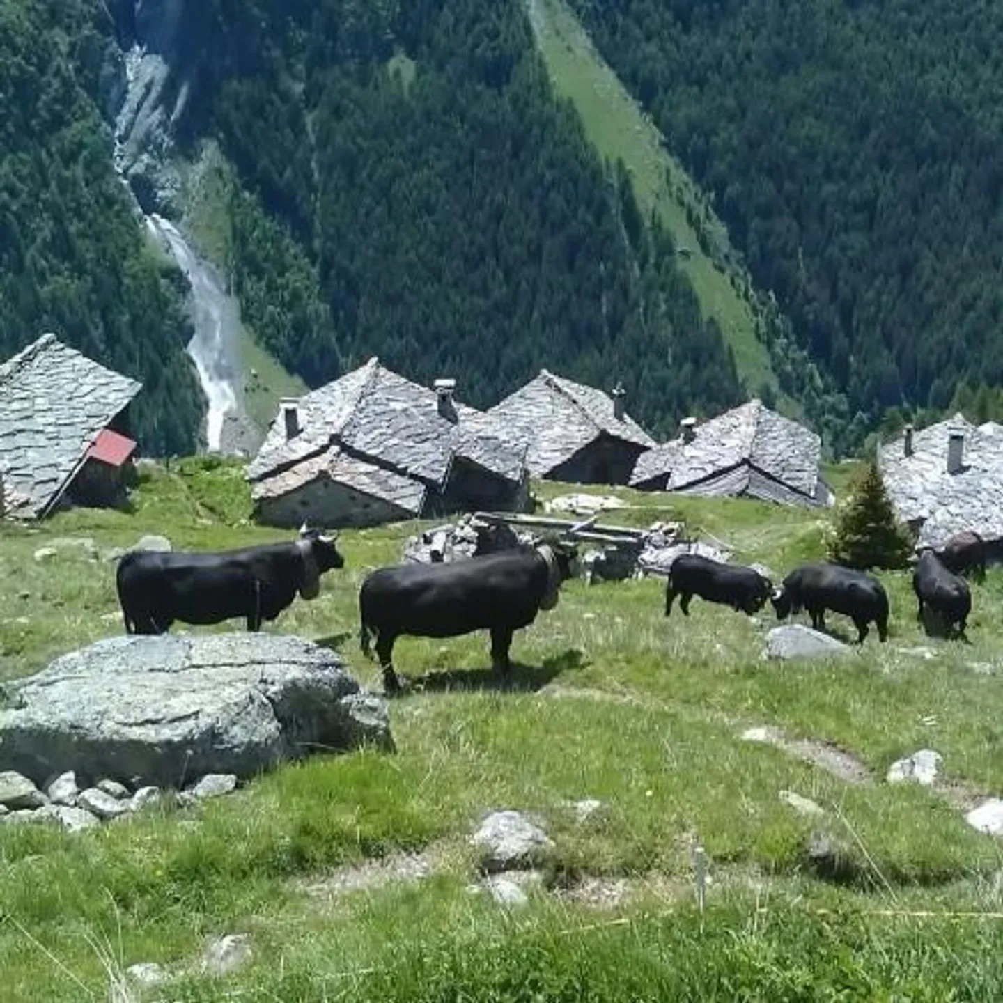 EVOLENE - Bréonna  
Magnifique mayen d'alpage - Photo 10 sur 10