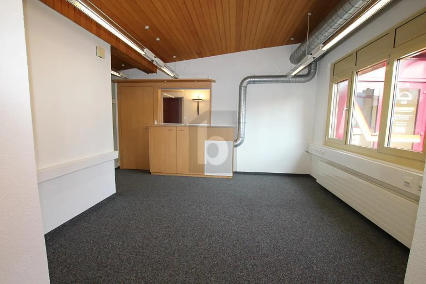 UTILISATION POLYVALENTE DANS UN ENDROIT CALME - Photo 3 sur 4