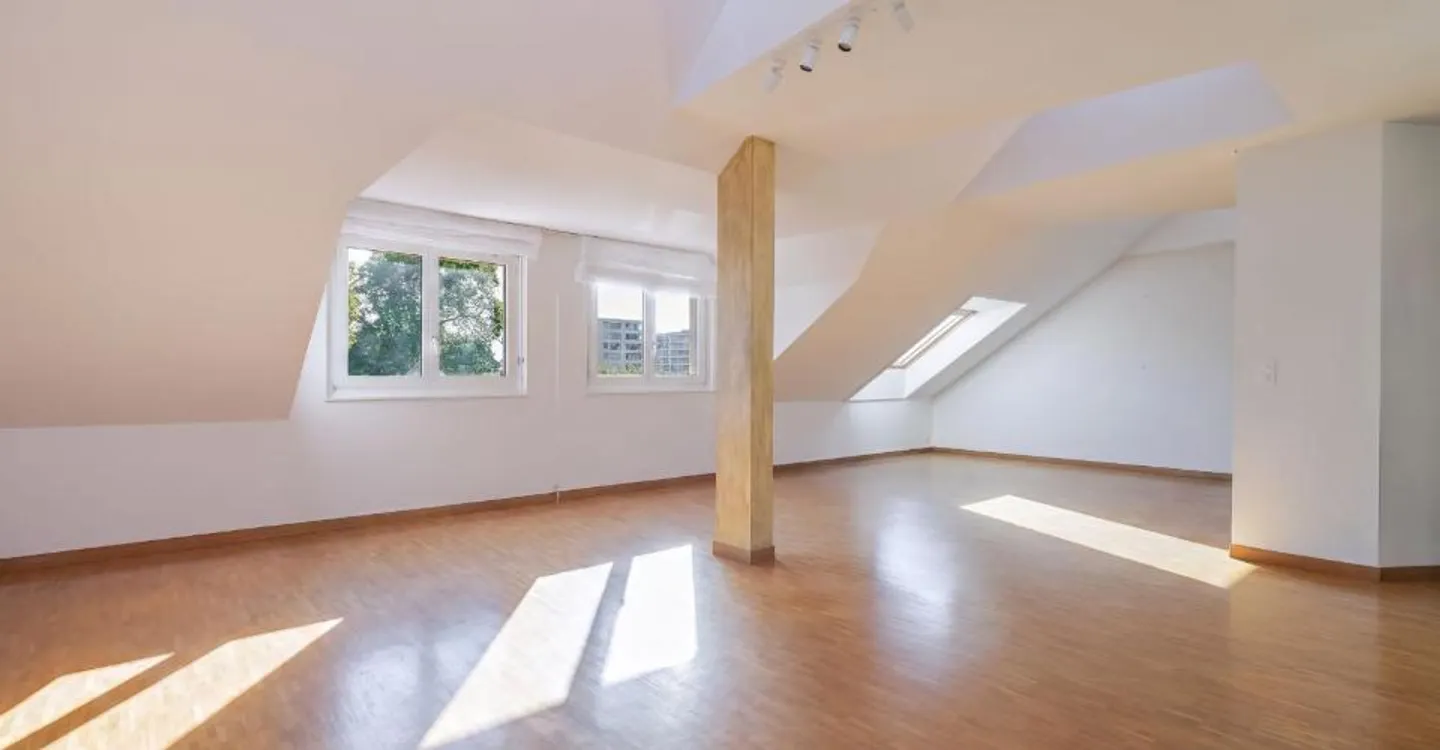 Appartamento all'ultimo piano con rooftop a Petit-Saconnex - Foto 2 di 7