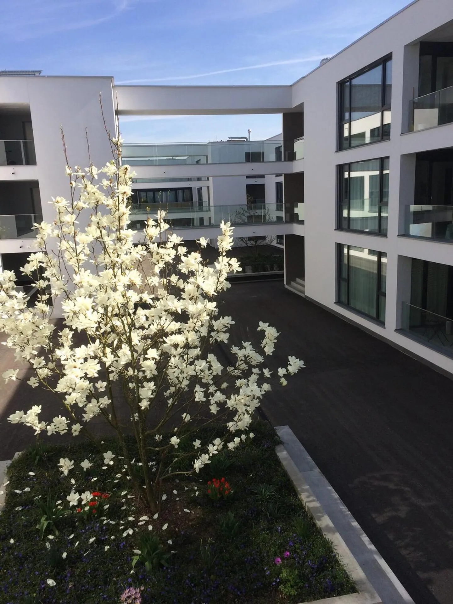 Modern Apartment by the Aare - Photo 9 of 10