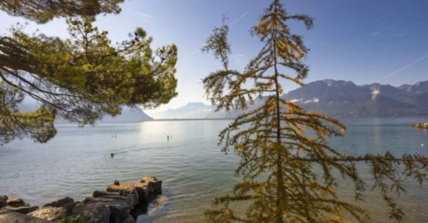 Appartamento ristrutturato vista lago - Foto 10 di 10