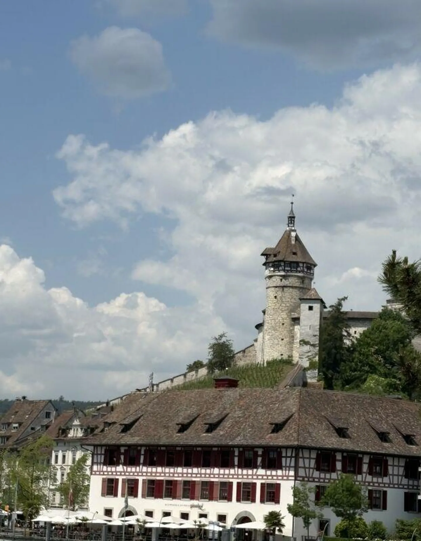 Sonnige Wohnung mit Rheinblick - Foto 1 von 5
