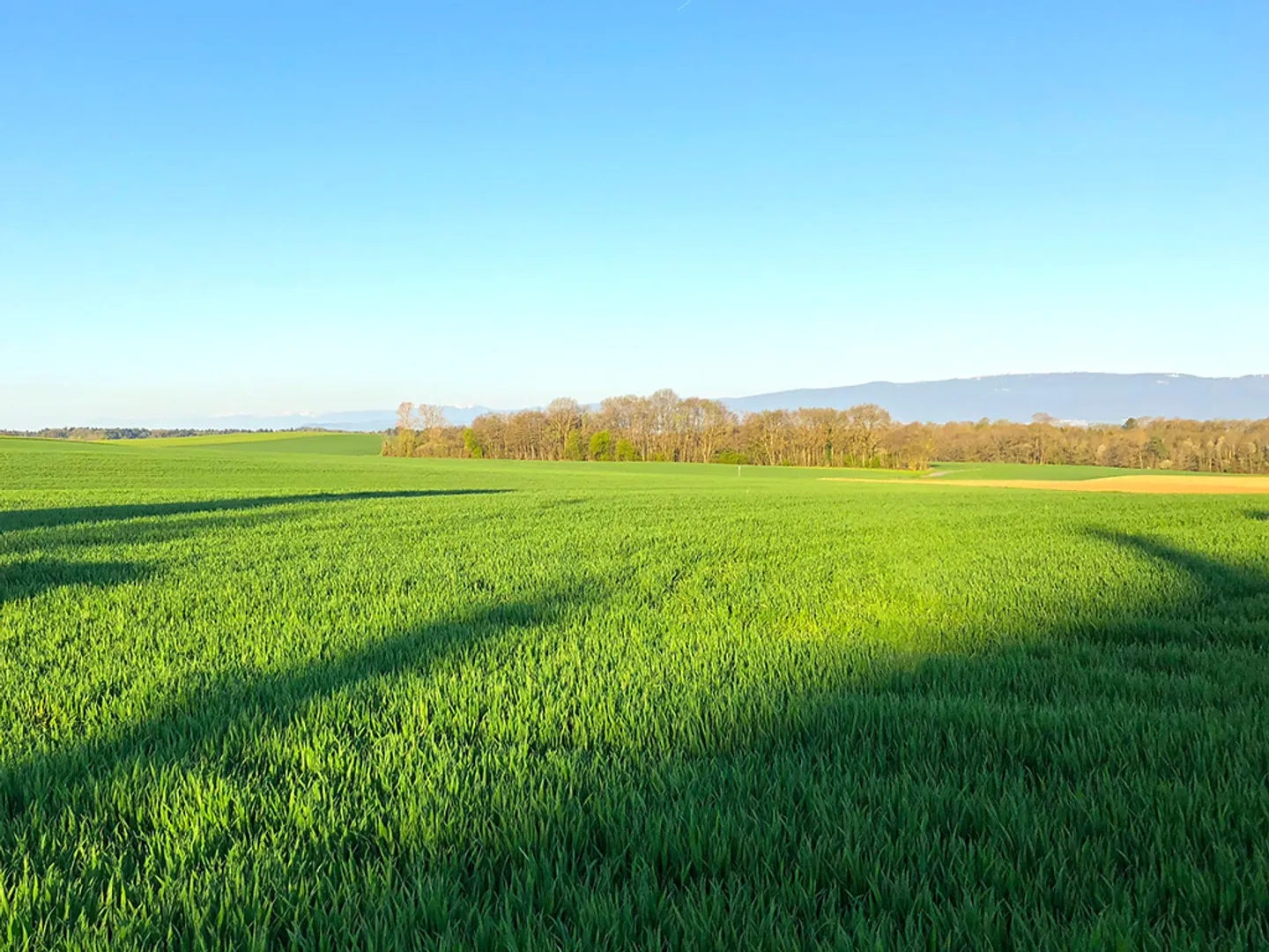 Duplex 5.5 pièces - Photo 2 sur 4