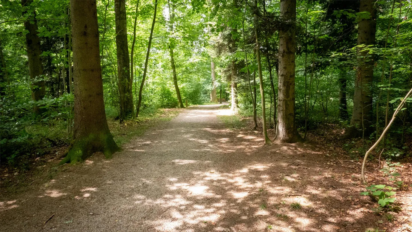 Stilvolle Wohnung im Seetal - Foto 15 von 16