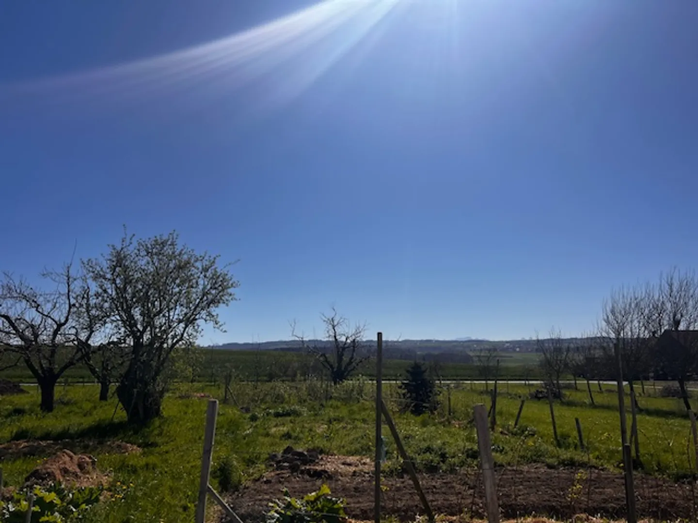 Appartement quasi neuf in Attika mit Terrasse in Villars-le-Terroir - Foto 10 von 14