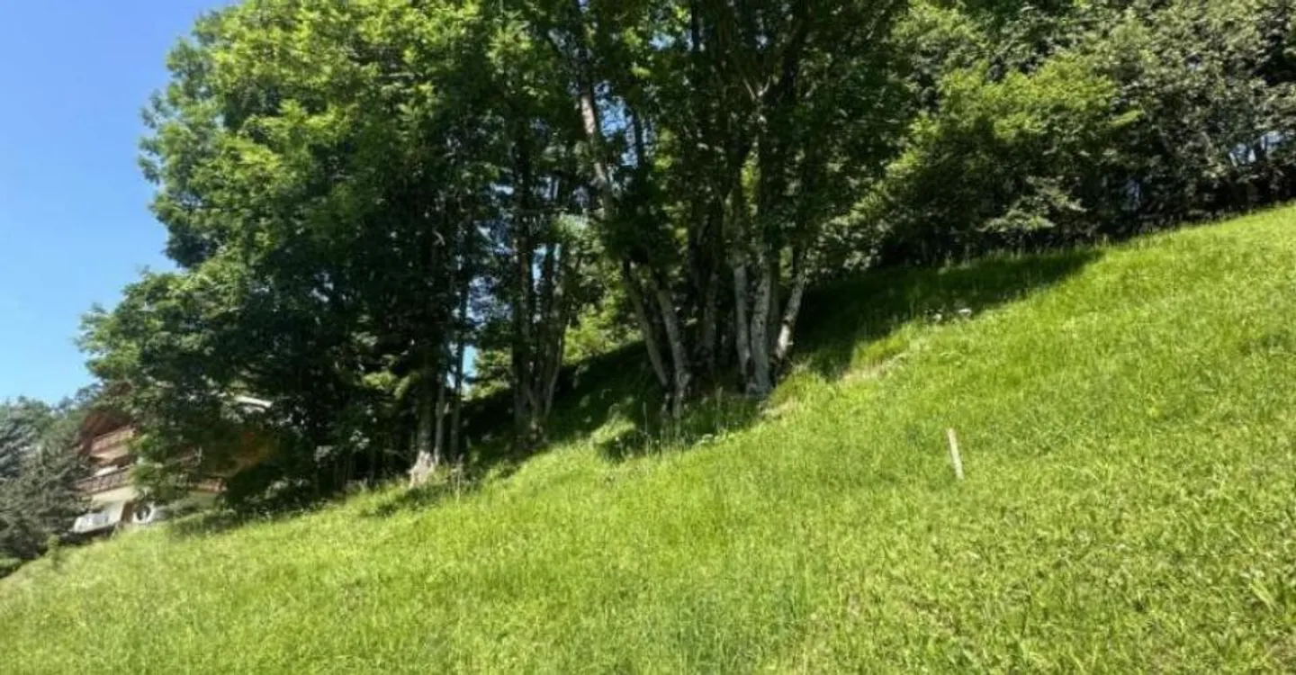 Land in Chesières - Photo 3 of 5