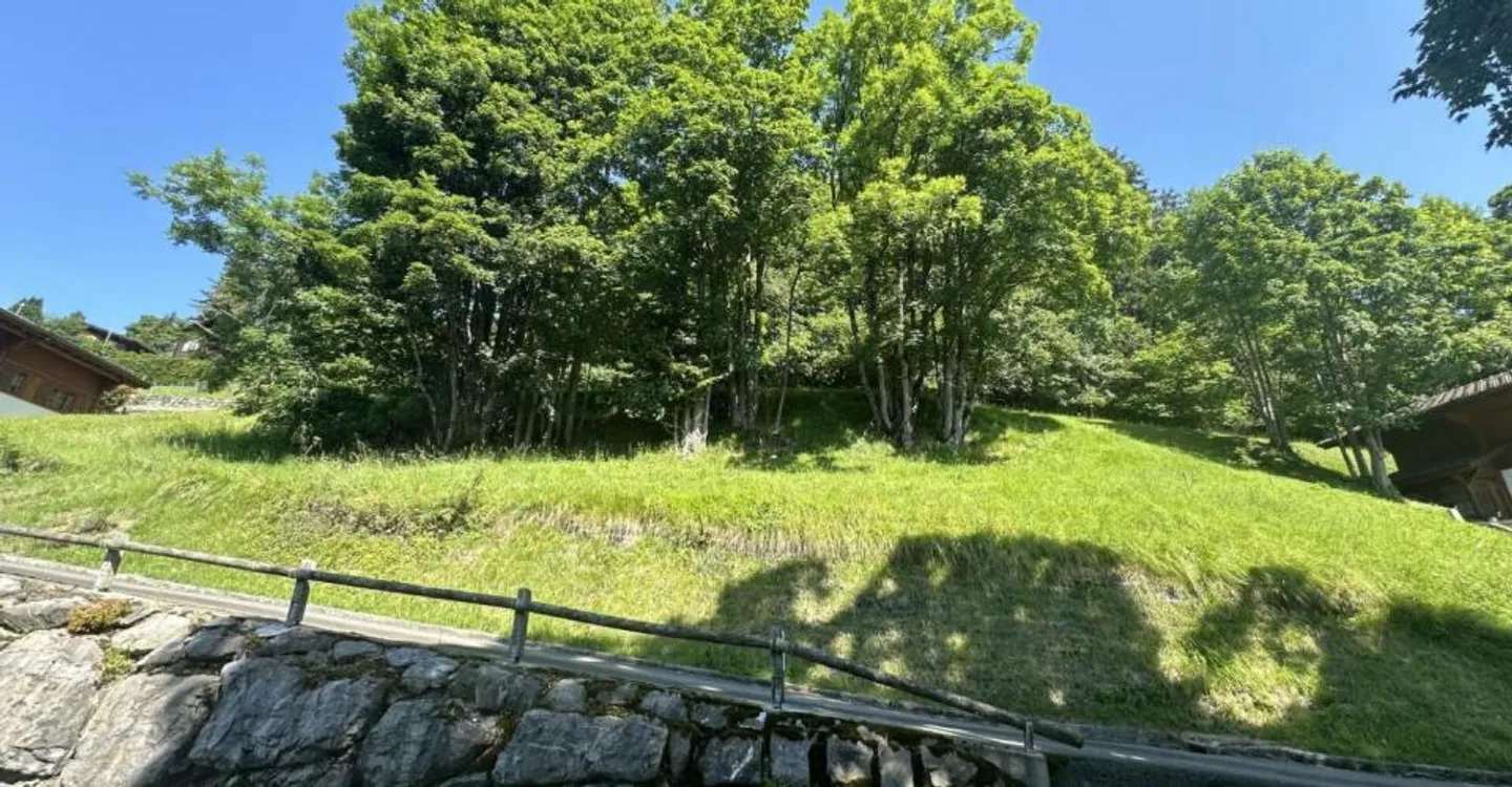 Land in Chesières - Photo 4 of 5