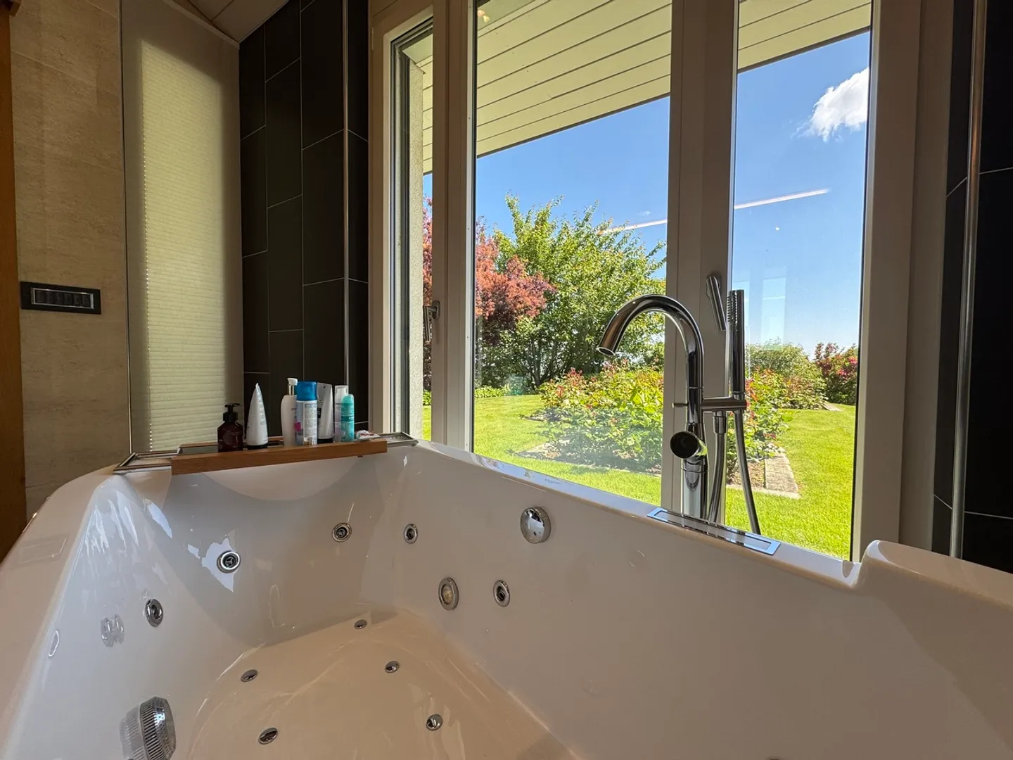 Detached Villa, Cemetery of Tranquility on the Shores of Lake Neuchâtel - Photo 7 of 18