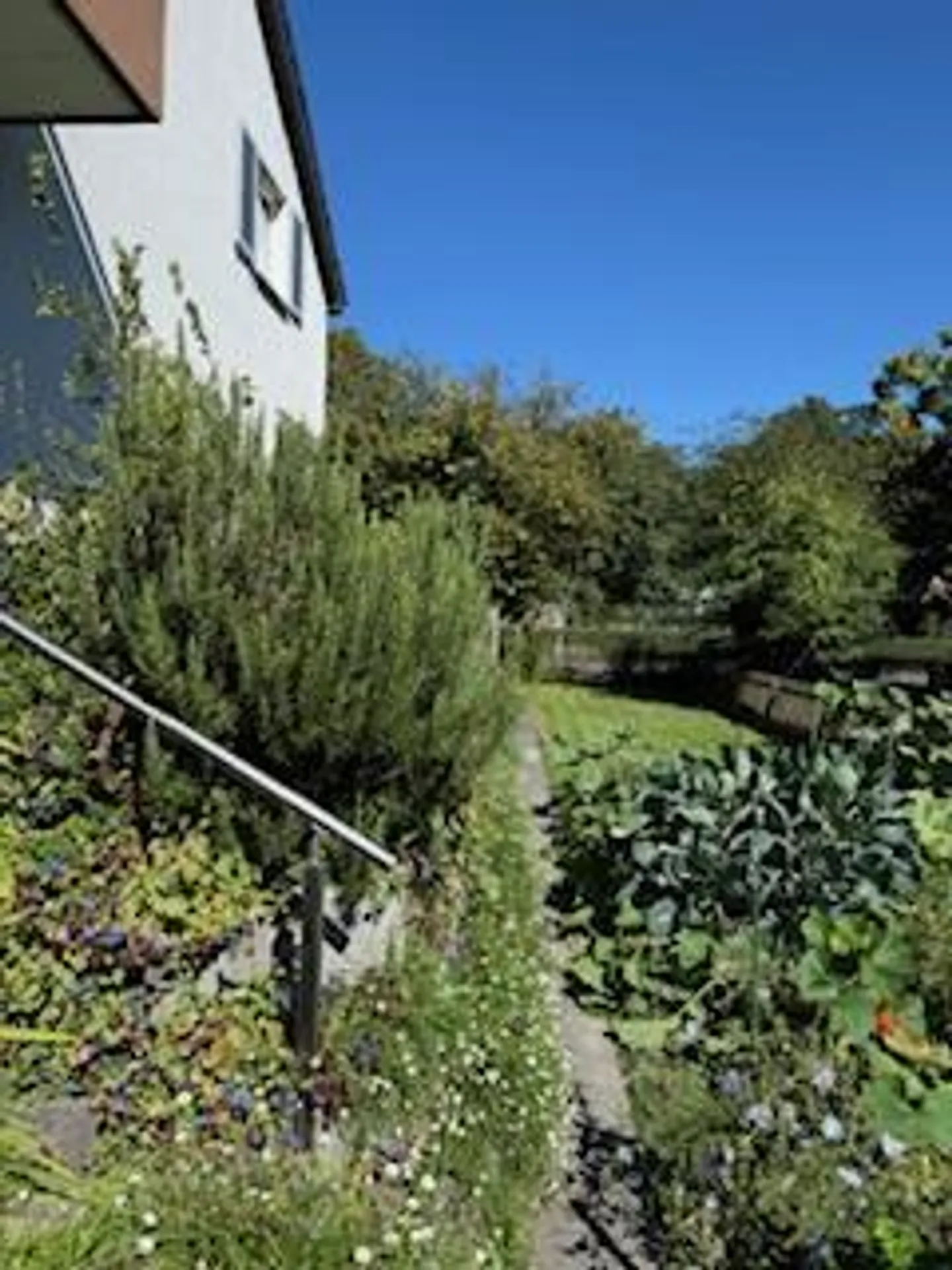 Single-family house (semi-detached) center, family-friendly - Photo 3 of 20