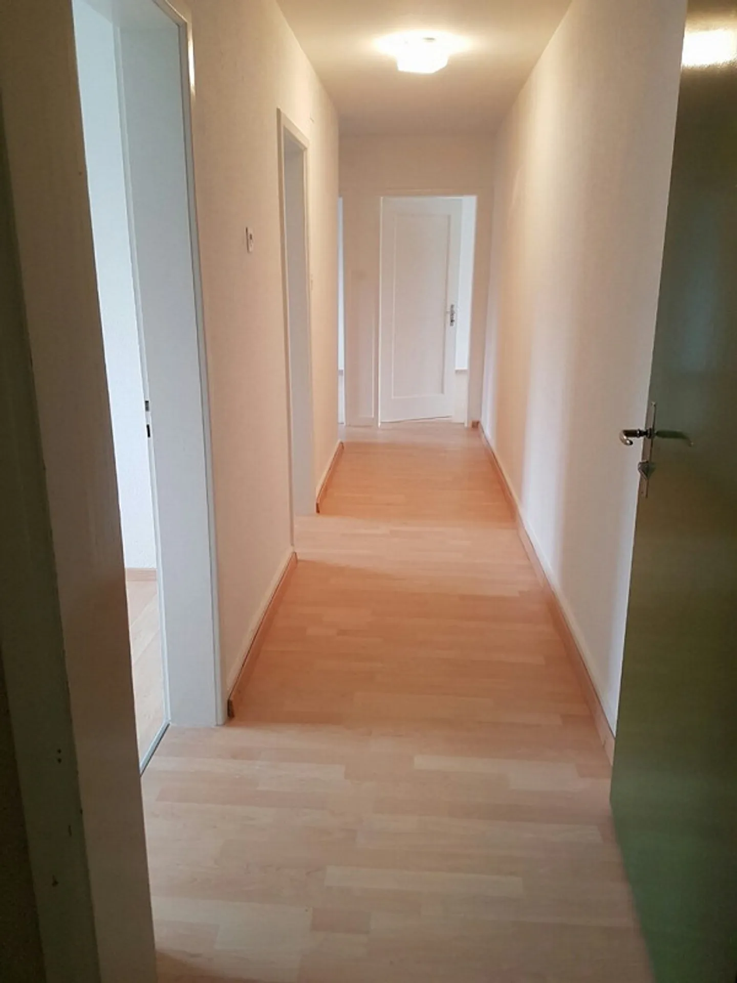 Renovated 3.5 room apartment in a quiet and beautiful location - Photo 5 of 16