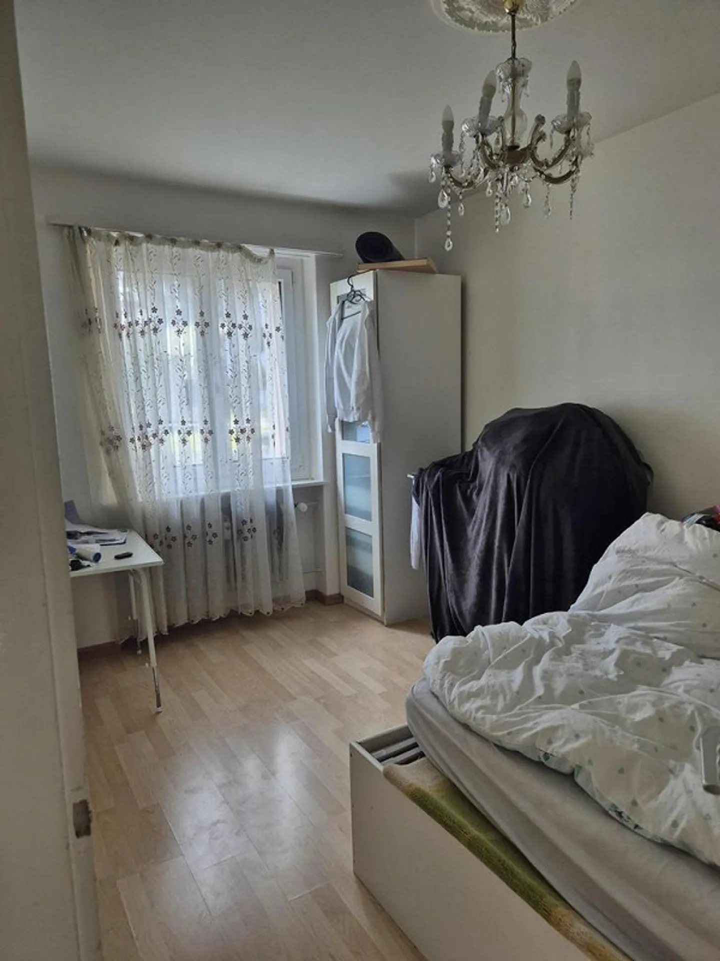 Appartamento luminoso con 4 stanze al piano terra - Foto 6 di 8