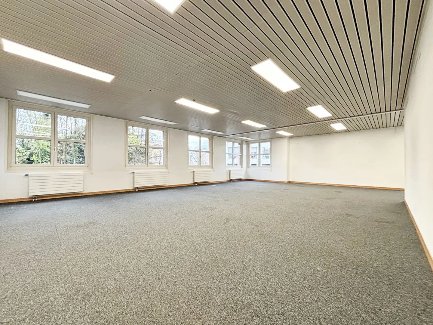 Magnificent Office Space in the Center of Nyon - Photo 7 of 12