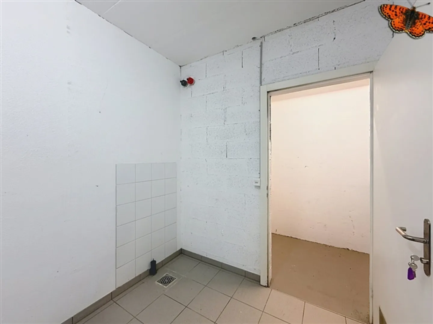 Dépôt – Cormanon - Photo 3 sur 6