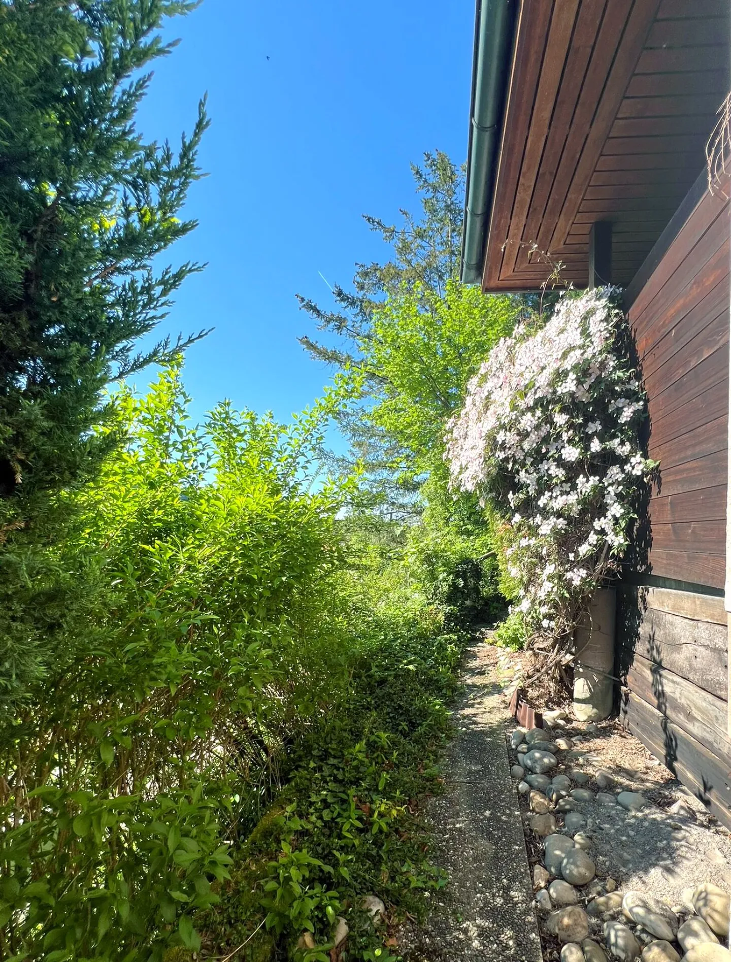 Casa unifamiliare nella migliore posizione a Erlinsbach (AG) - Foto 3 di 21