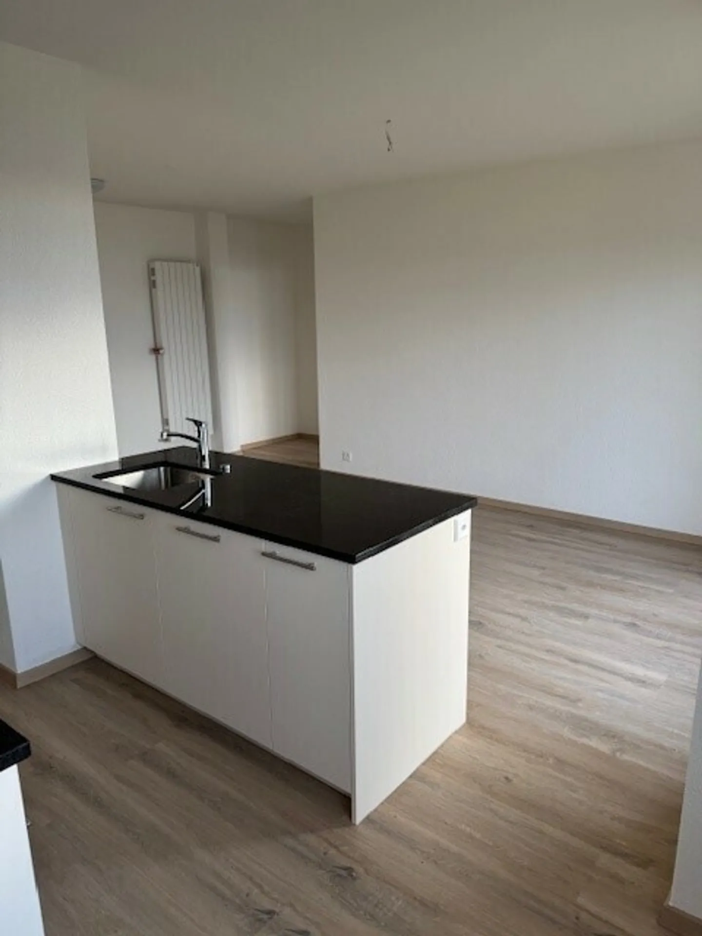 Appartement 2.5 pièces - Photo 4 sur 8