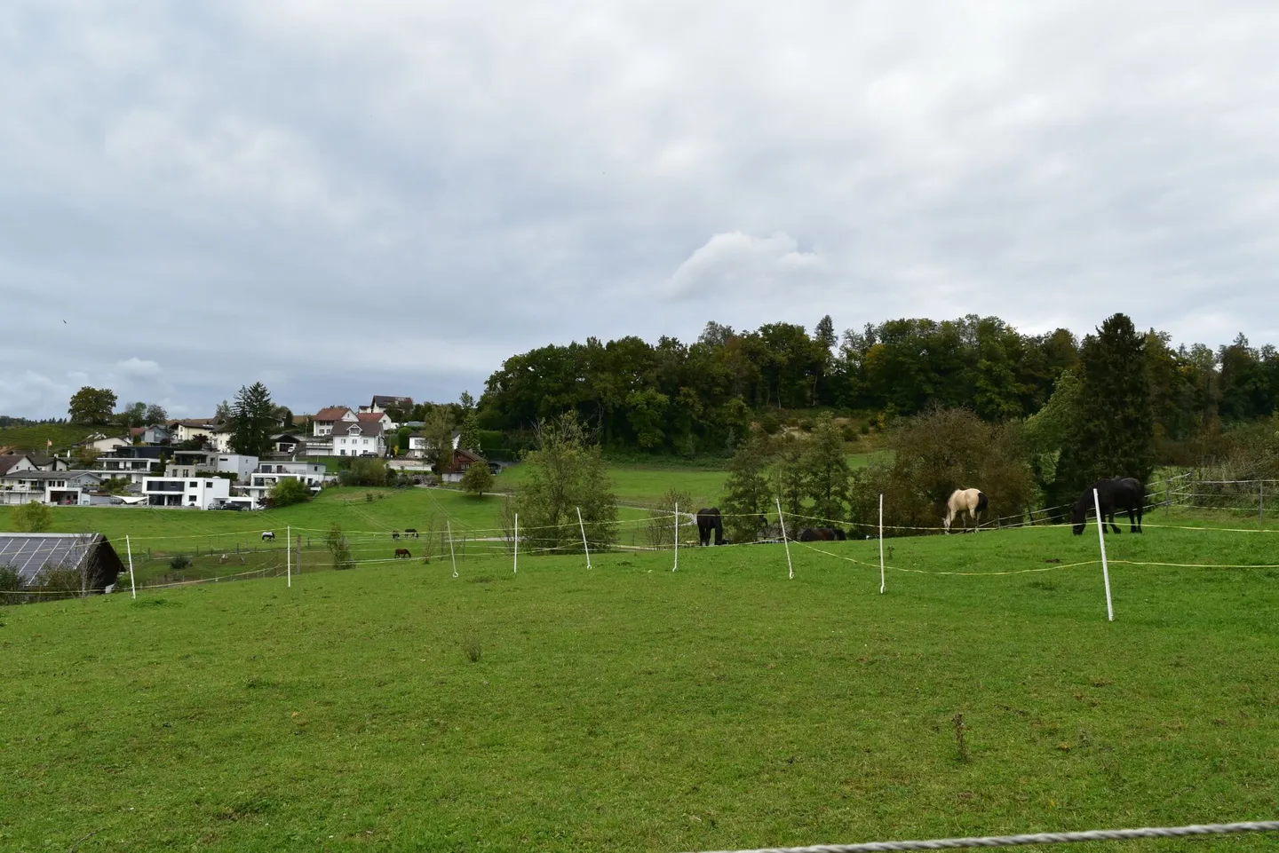 Terrain constructible pour votre investissement ! - Photo 1 sur 6