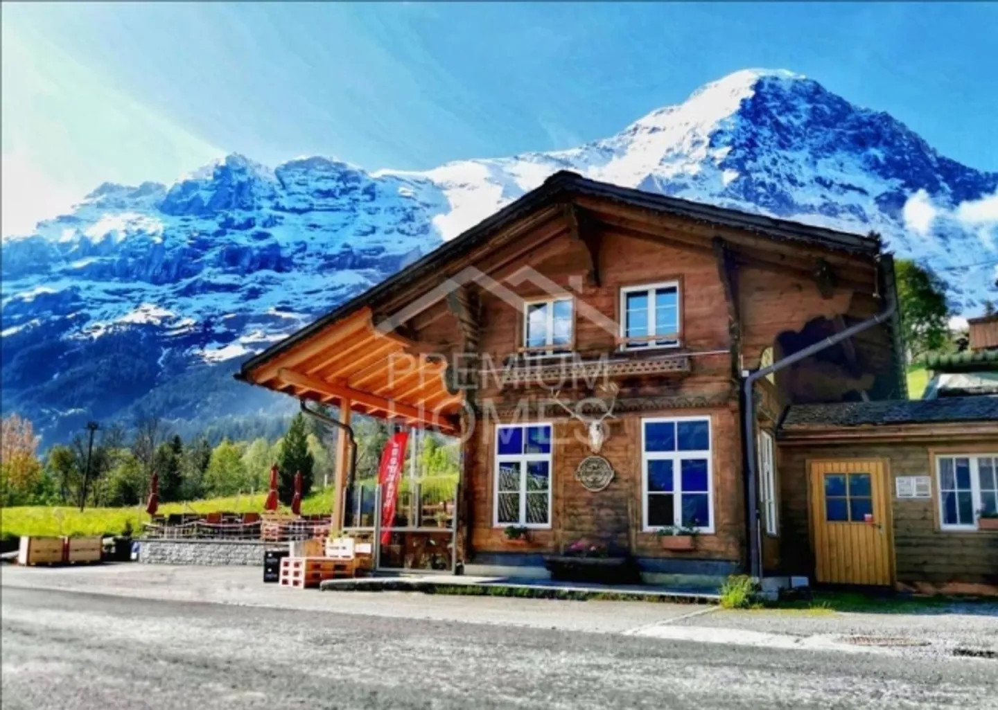 FACE TO FACE WITH THE EIGER - Photo 2 of 4