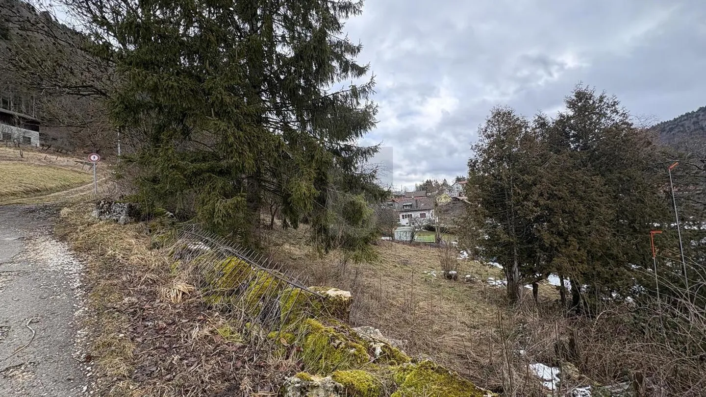 POTENTIAL IN THE HEART OF SONVILIER - Photo 2 of 4