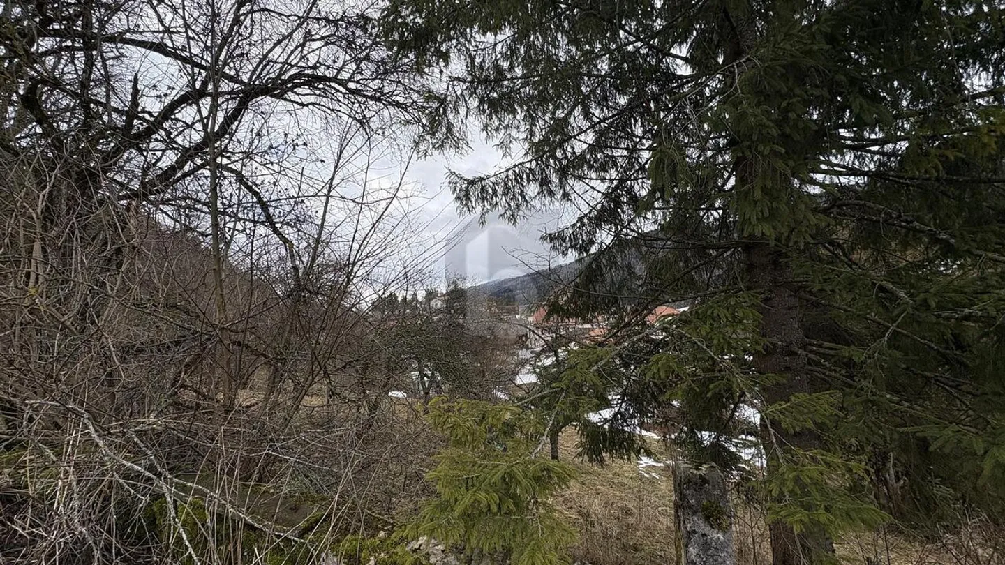 POTENTIAL IN THE HEART OF SONVILIER - Photo 3 of 4