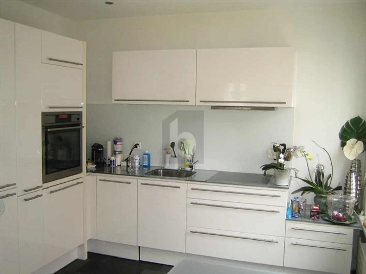 DREAM HOME WITH LARGE GARDEN AND LAKE NEARBY - Photo 3 of 6