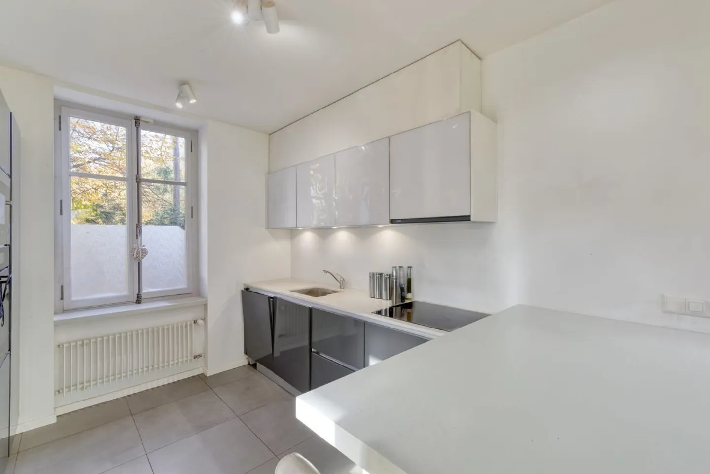 Individual chalet with large wooded park in Bellevue - Photo 3 of 13