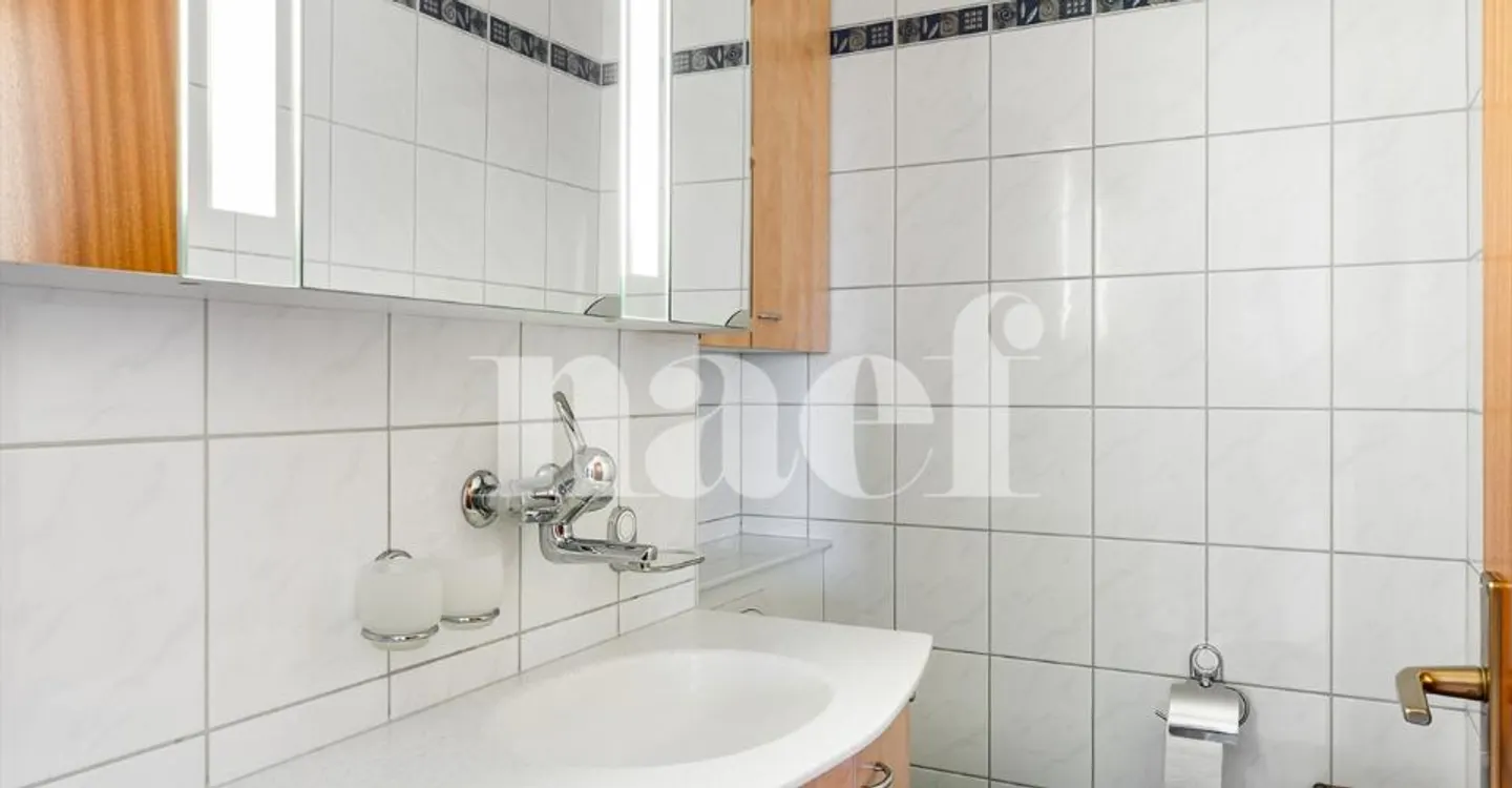 Appartement au bord du lac - Photo 13 sur 13