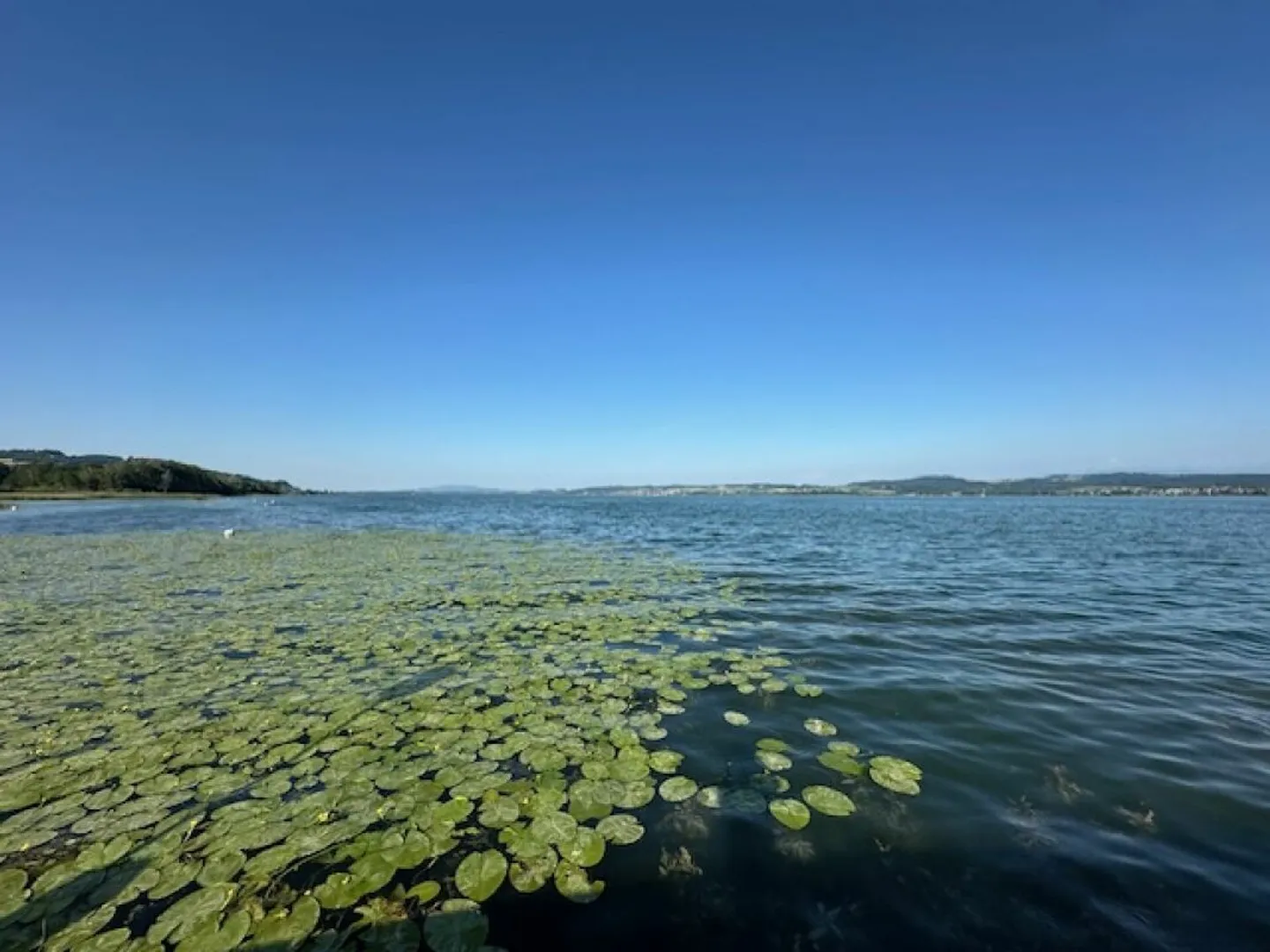 Appartamento 8 locali a Vallamand - Foto 22 di 25