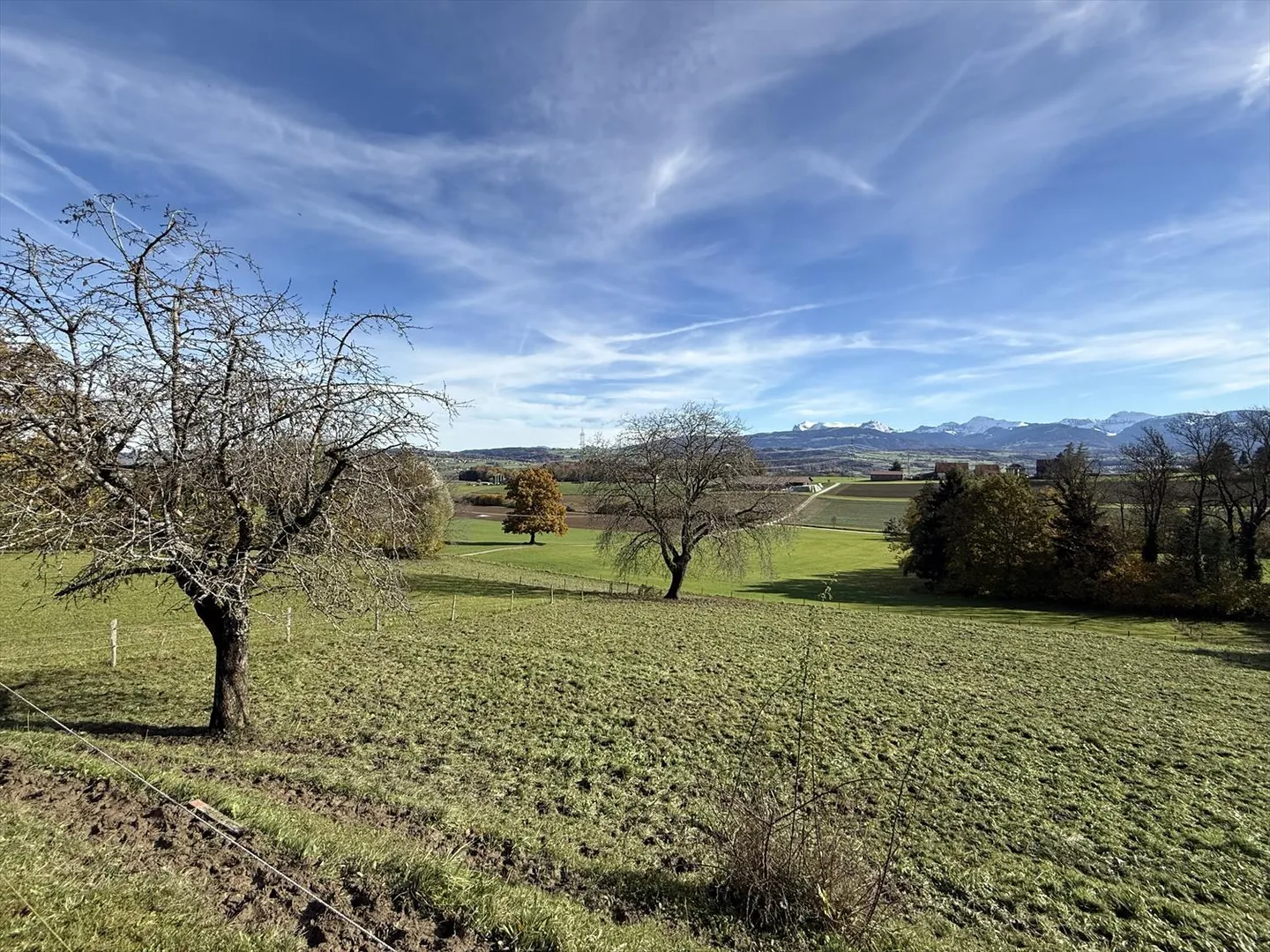 Superbe projet de transformation/réno - possibilité de création de 2 appartement - Foto 5 di 16