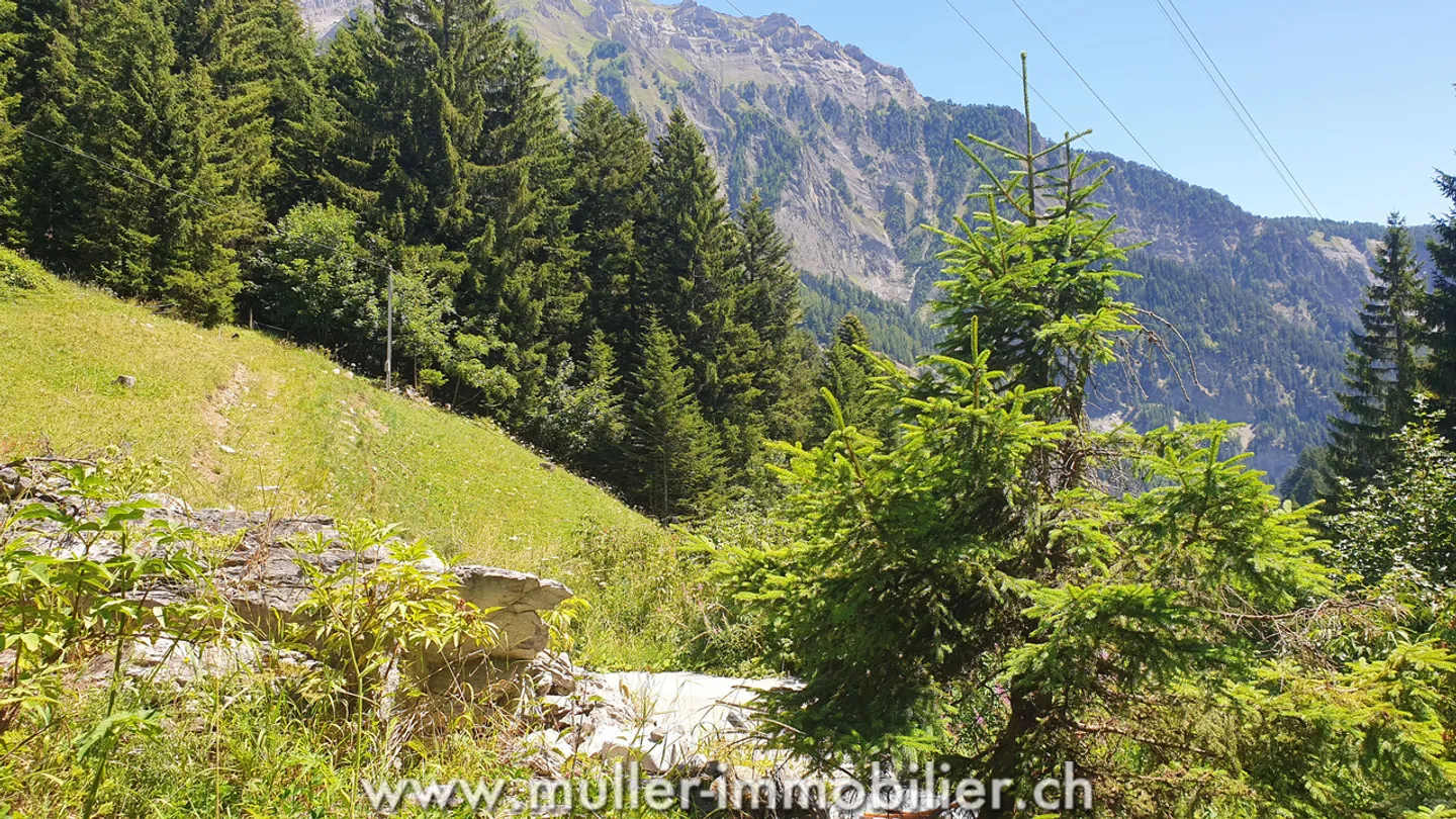 Building land with valid permit in Savièse - Photo 8 of 13