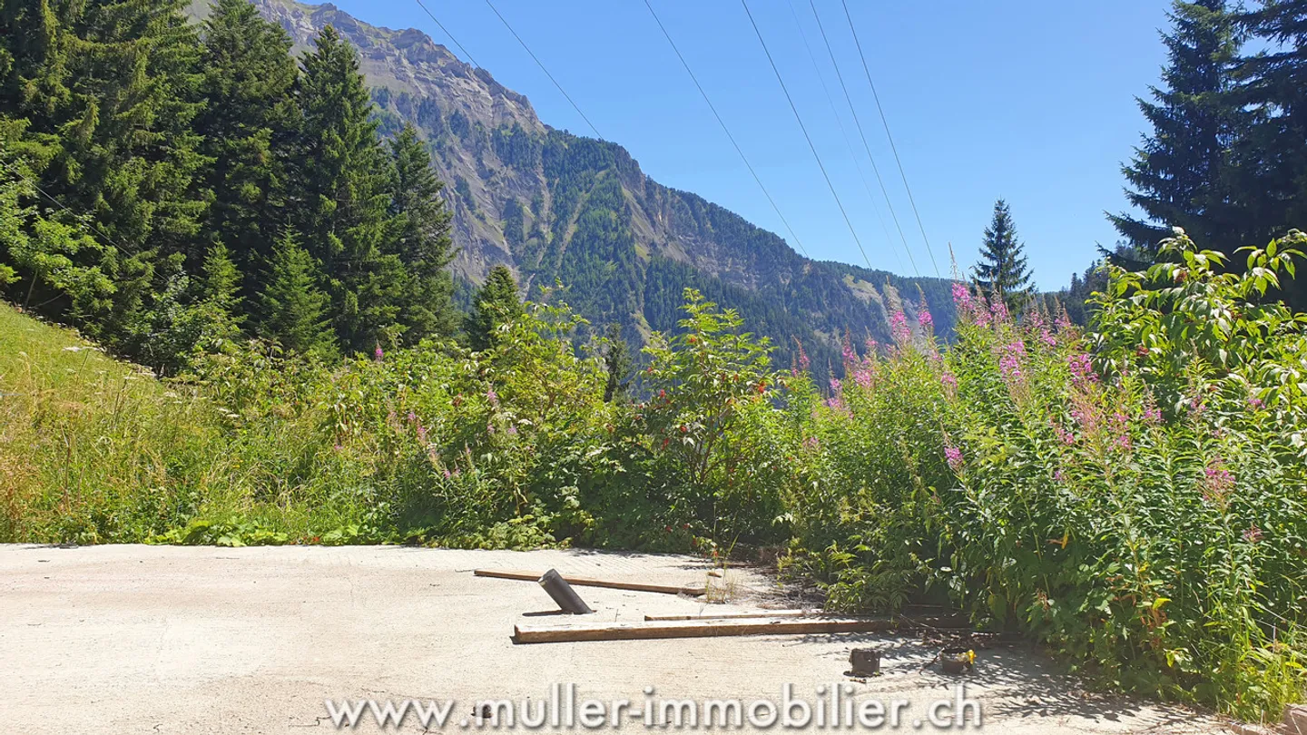 Building land with valid permit in Savièse - Photo 6 of 13