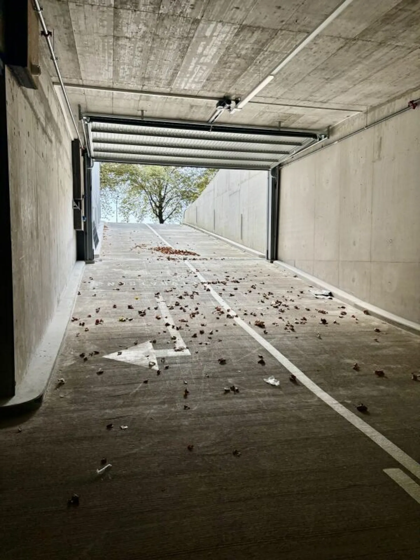 Storage space, warehouses, logistics, workshop, production for rent in Renens. - Photo 3 of 4