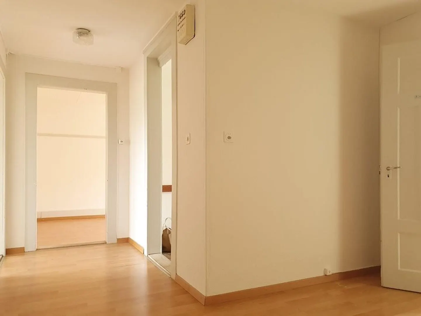 Stai cercando qualcosa di speciale? - Allora abbiamo proprio quello che fa per te! - Foto 3 di 9