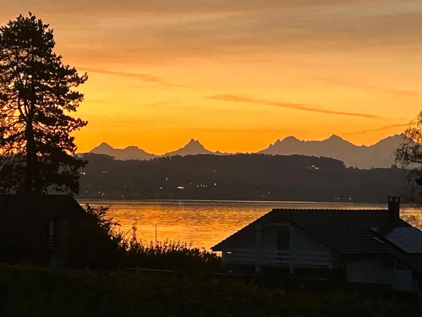 Spaziosa villa moderna di 7,5 stanze al lago di Morat - Foto 18 di 19