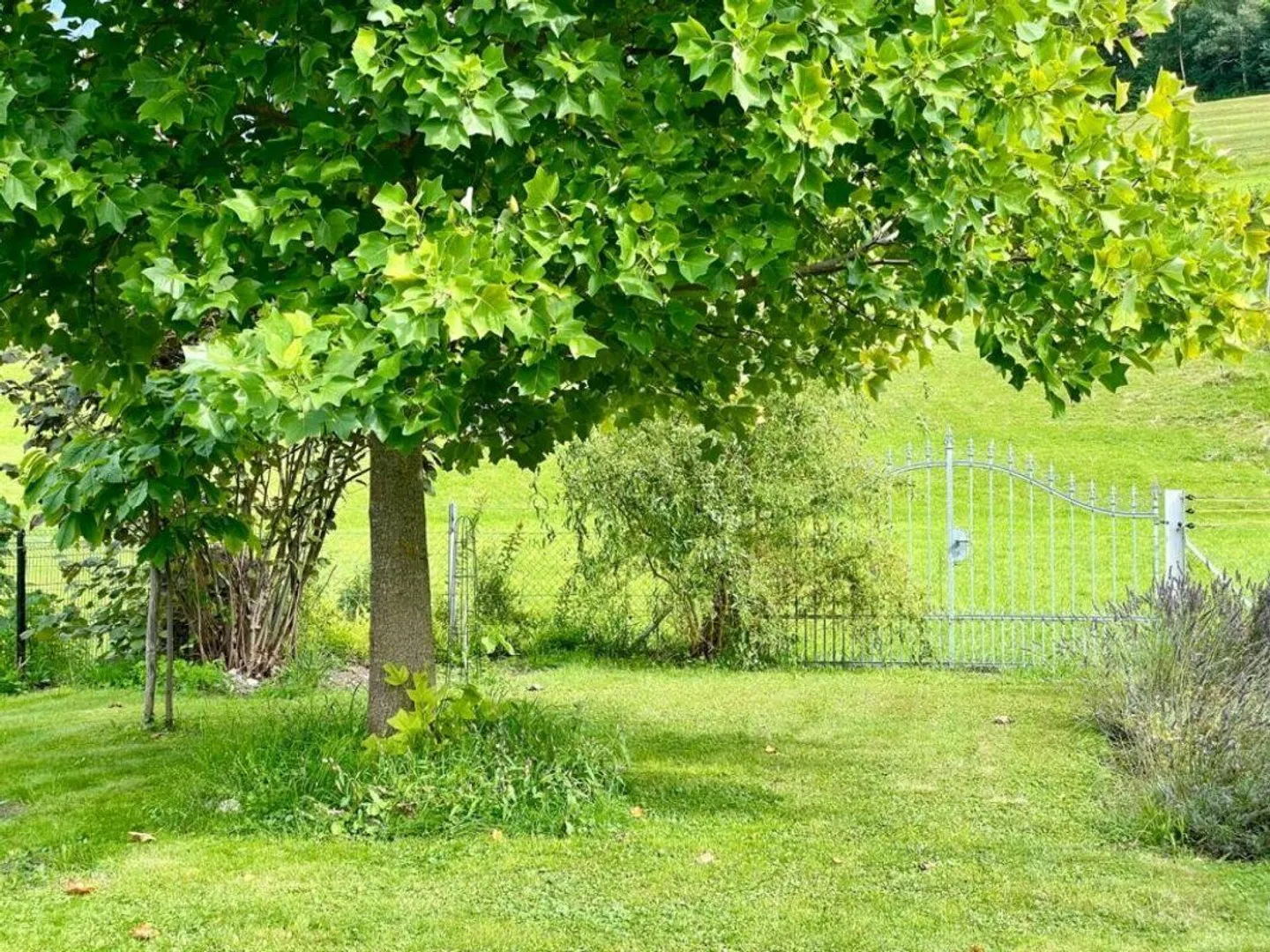 Casa unifamiliare con appartamento separato e grande giardino - Foto 23 di 30
