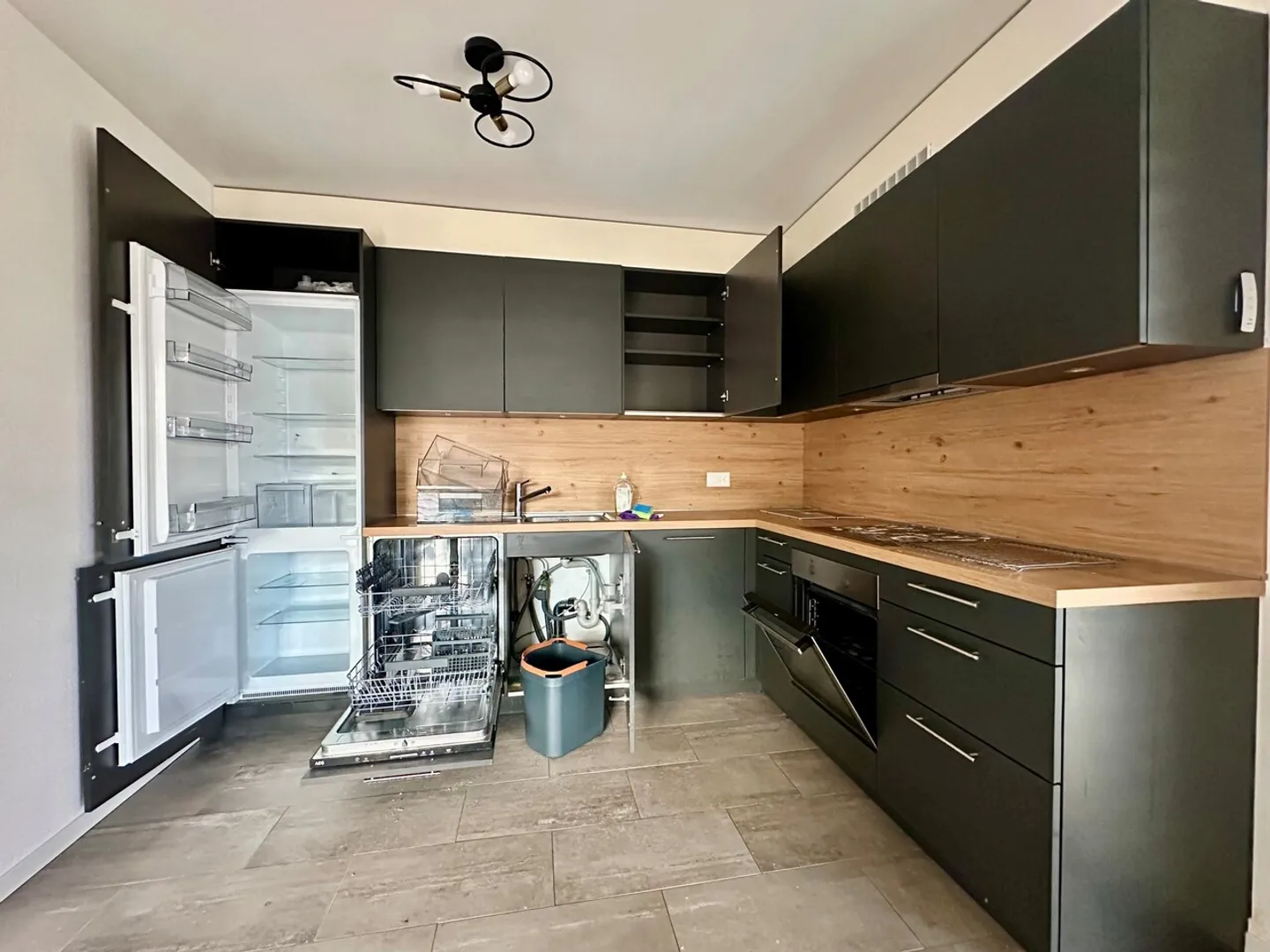 Appartement Charmant avec Vue Lac - Photo 3 sur 5