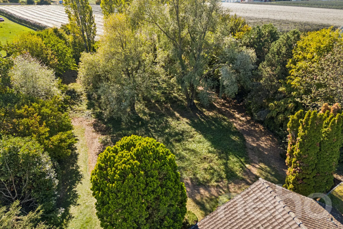 Exclusive Lakeside Property in Kesswil - Photo 8 of 12